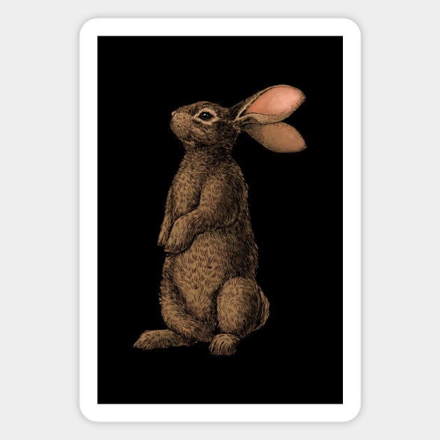 Rabbit Magnet by katerinamk